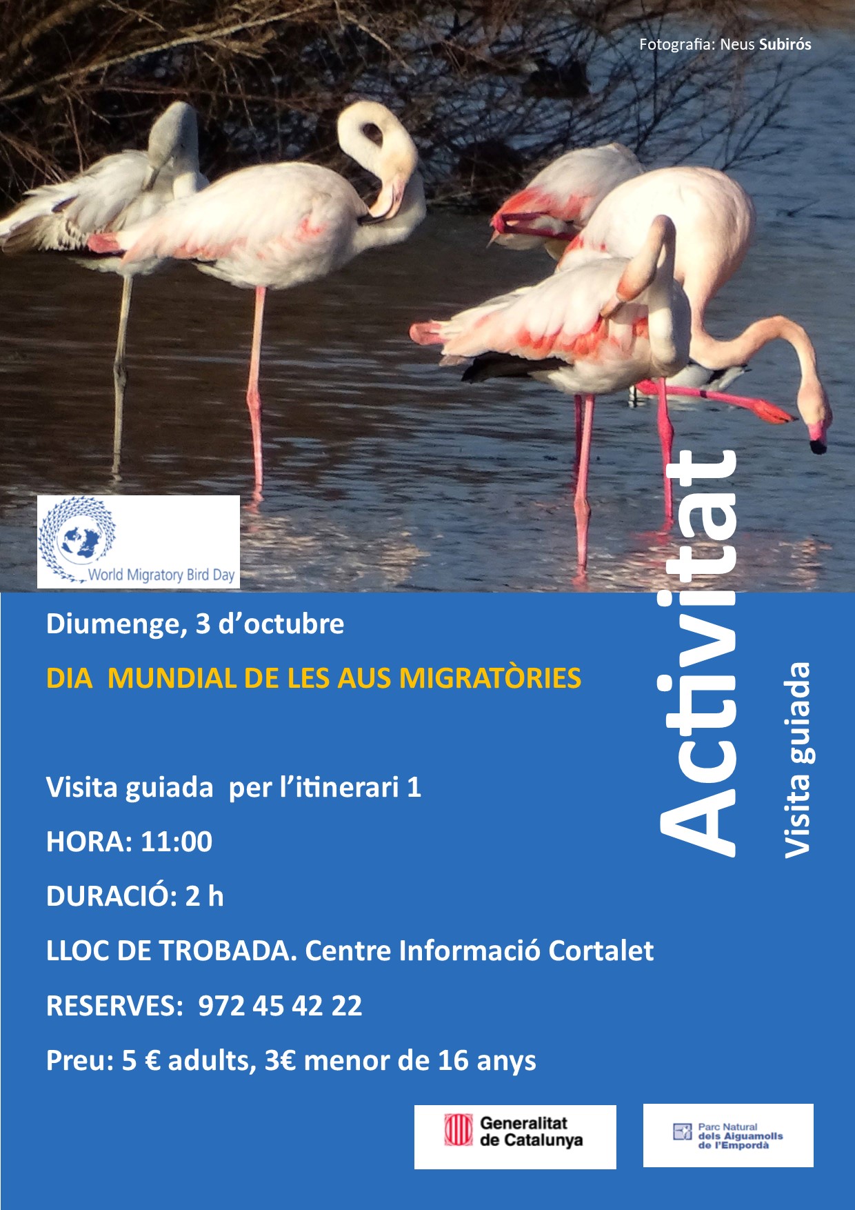 Cartells del dia mundial de les aus migratòries