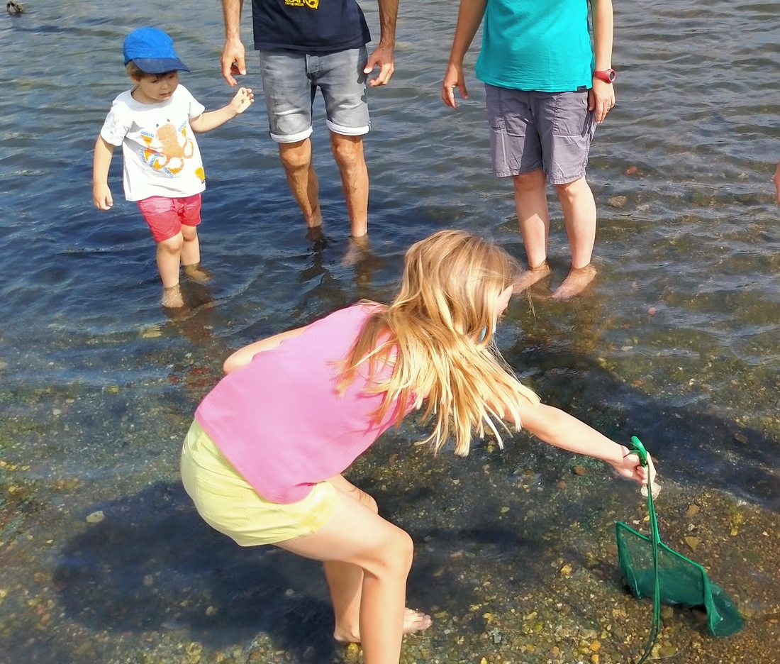 Animalons de Cap de Creus