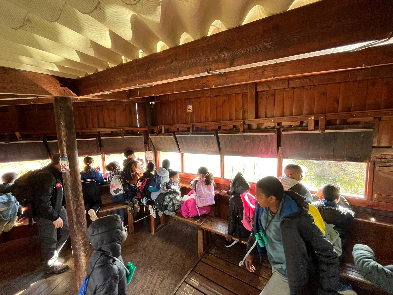 El món dels sentits